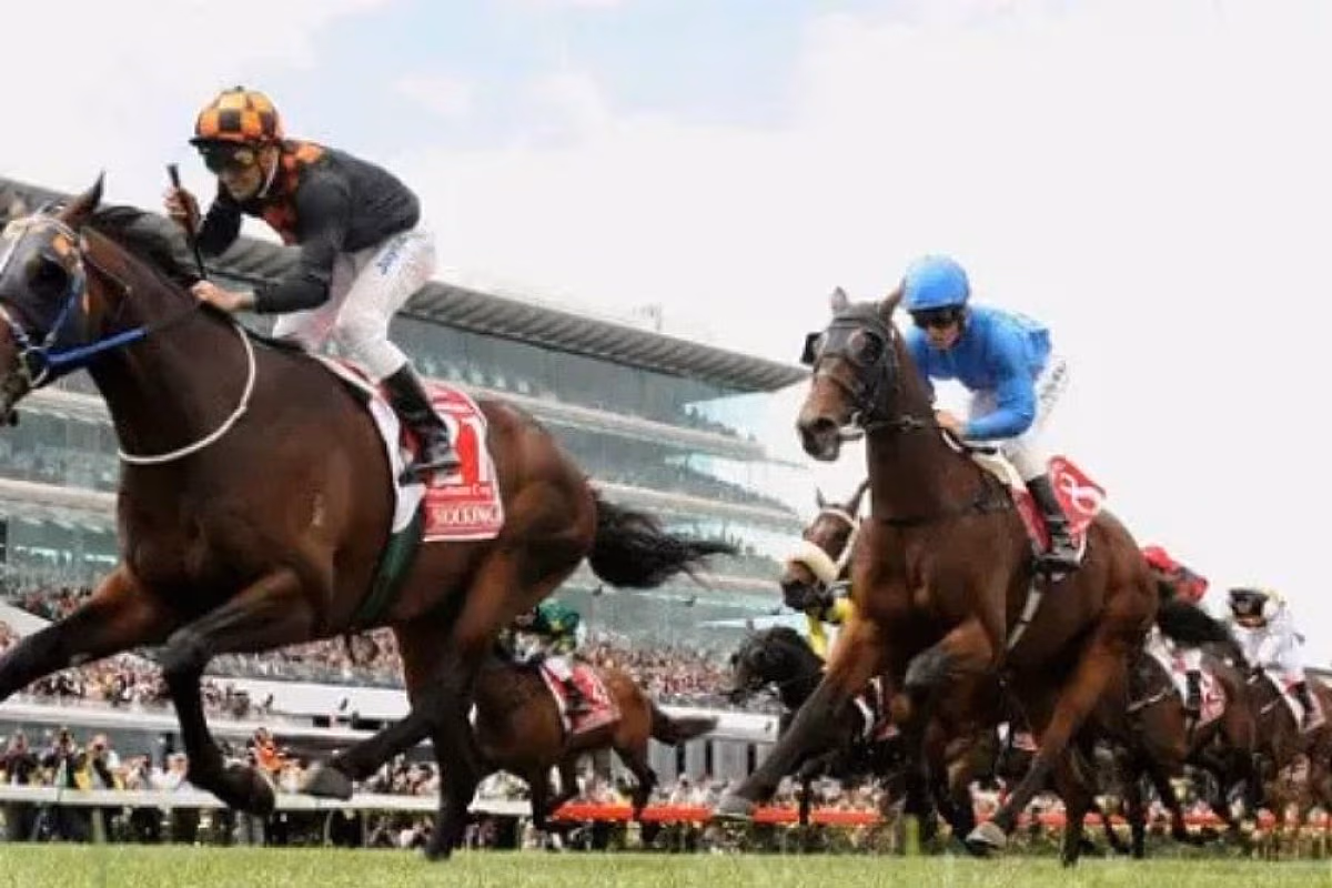 Harbour Spirit Melbourne Cup Lunch Cruise