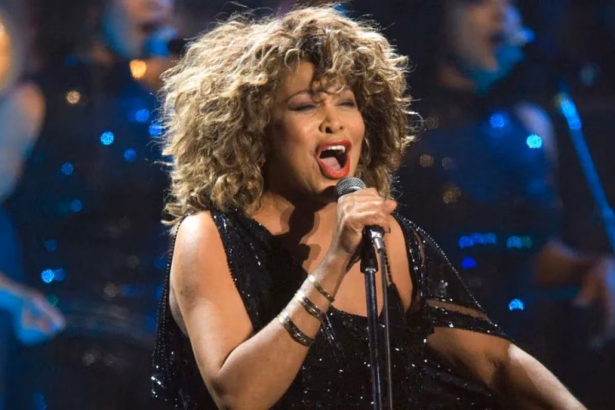 Tina Turner Tribute Show Cruises