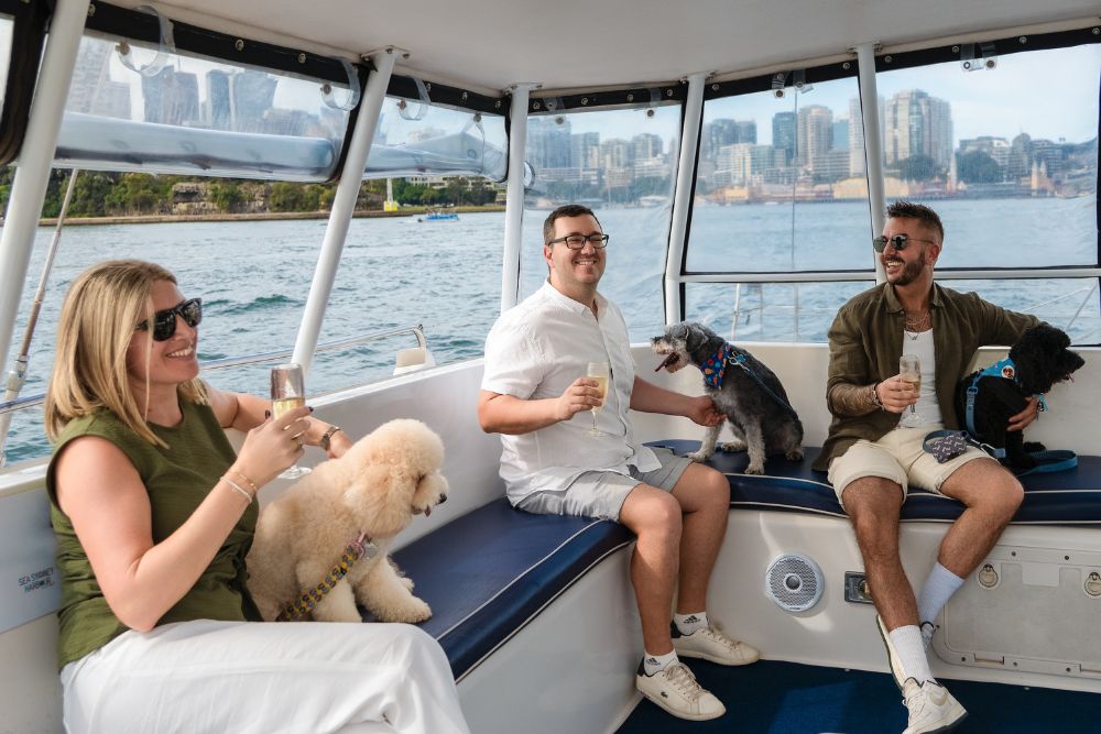 Dogs on Deck Harbour Cruise Cruise - Featured Image