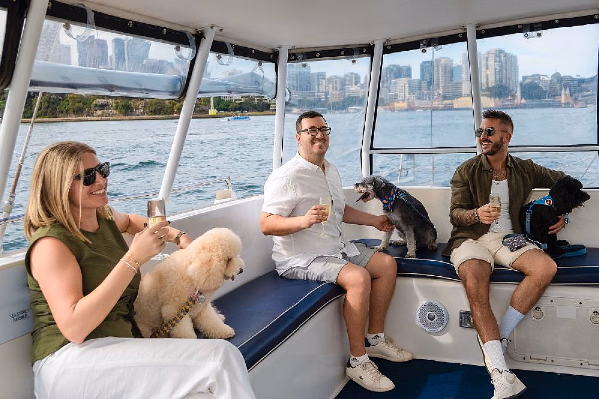 Dogs on Deck Harbour Cruise