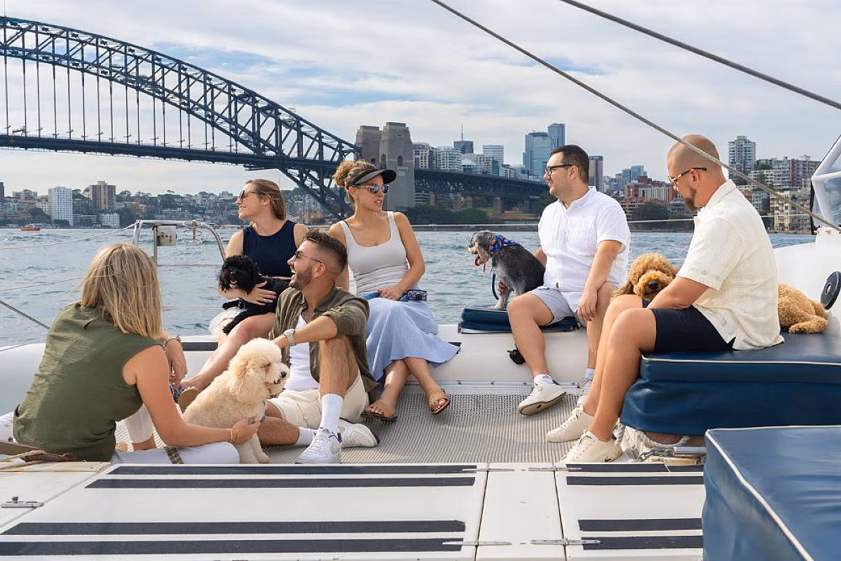 Dogs on Deck Harbour Cruise