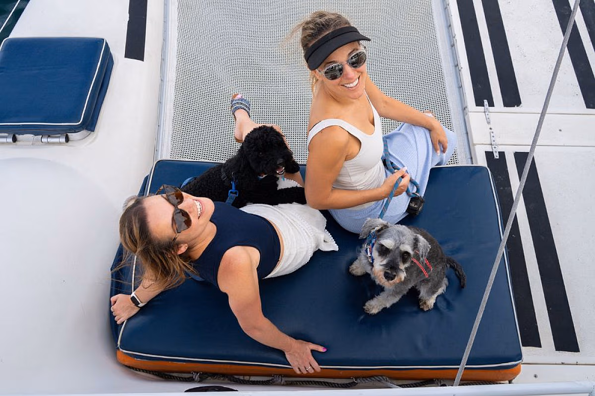 Dogs on Deck Harbour Cruise