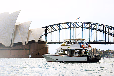 Curious George Boat Hire - Featured Image