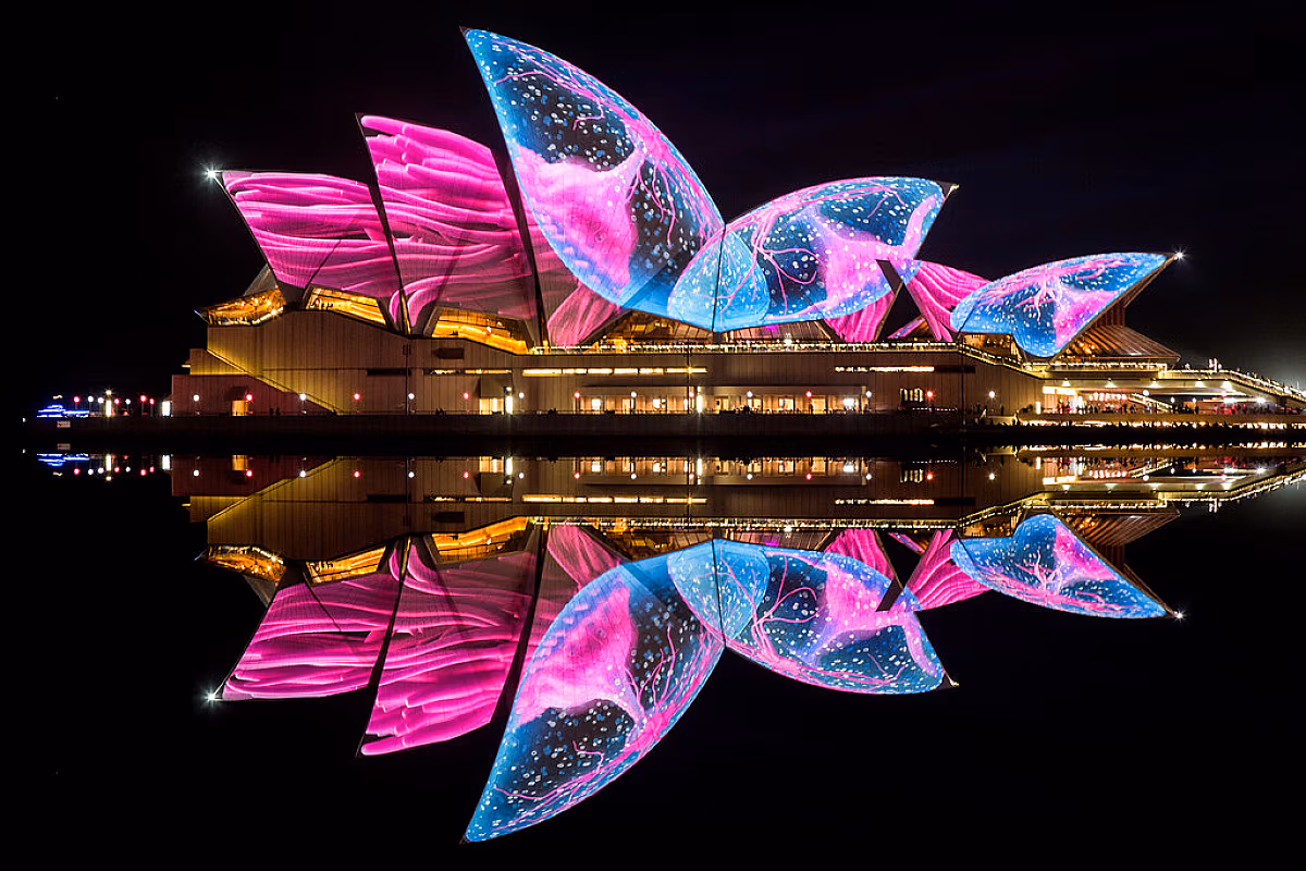 Clearview Vivid Sydney Dinner Cruise