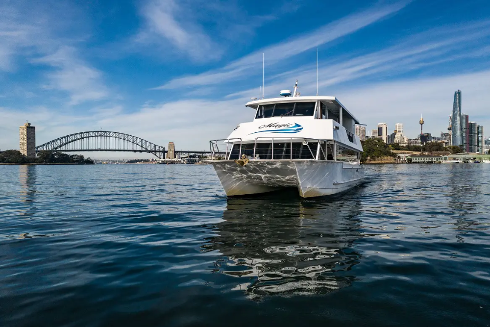 MV Magic Vivid Sydney Cruise Cruise - Featured Image
