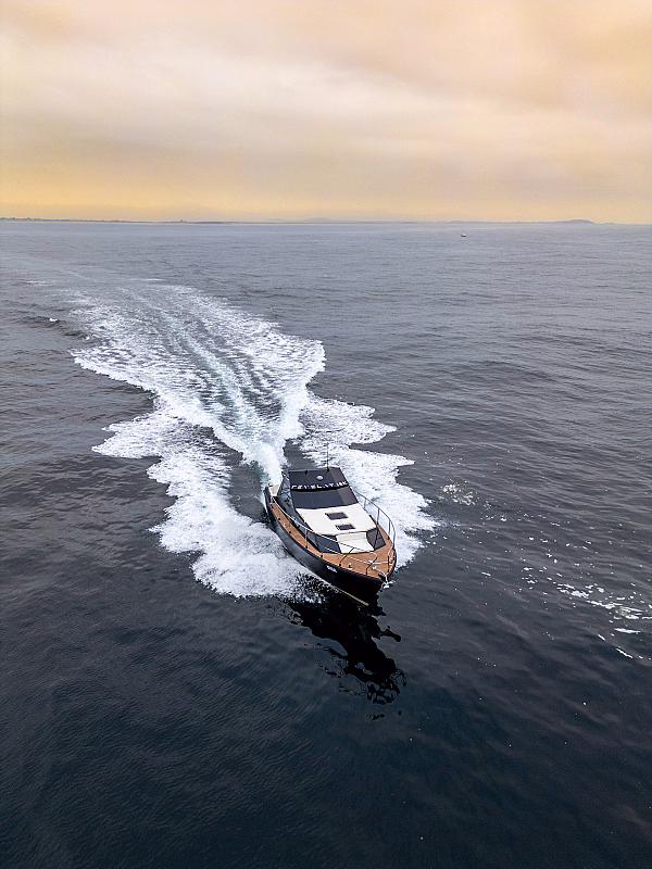 Lux Whale Watching