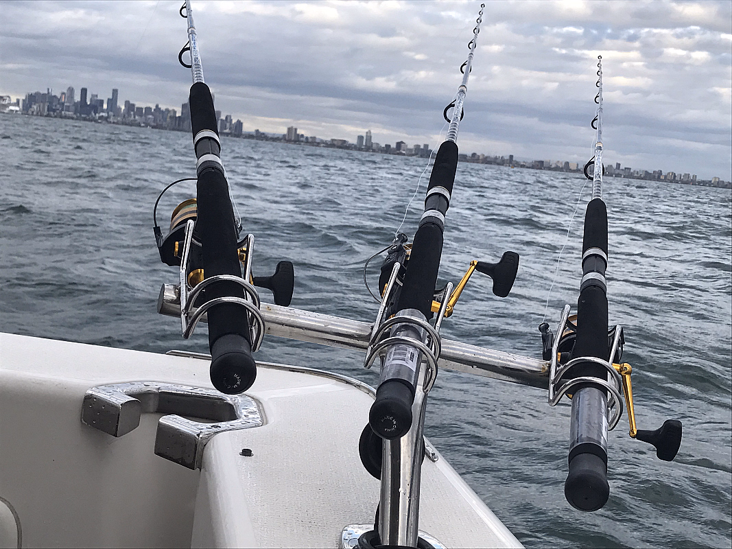 Port Philip Bay Fishing Adventure