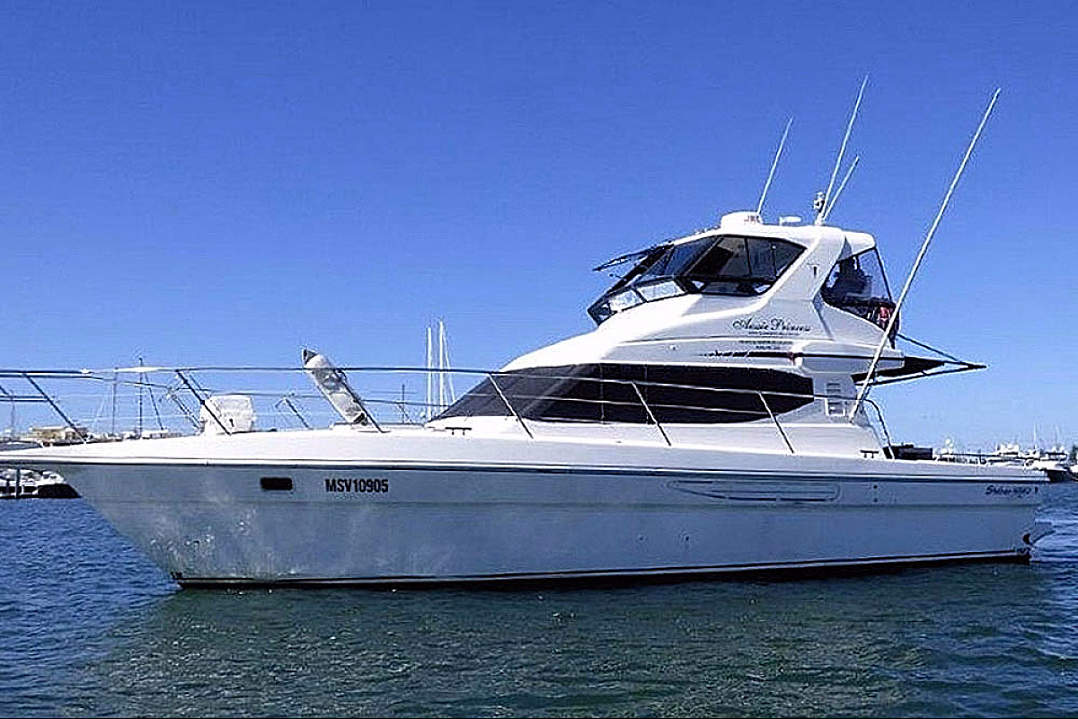 Brisbane River City Explorer