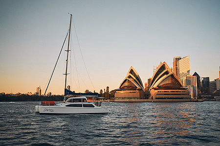 Delphinus Boat Hire - Featured Image