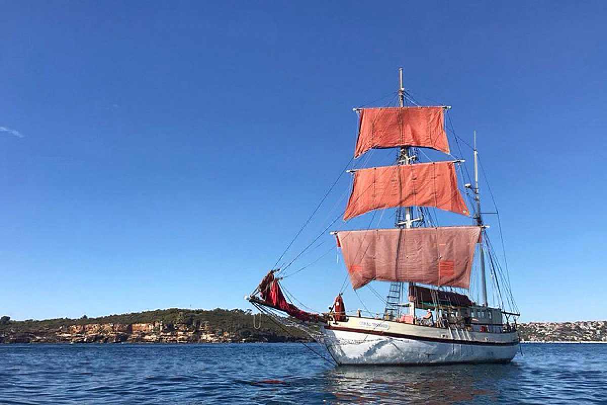 Coral Trekker Australia Day Fireworks Cruise