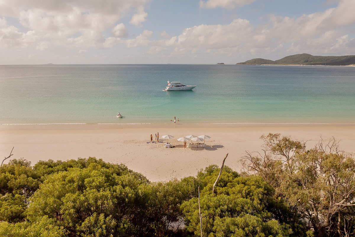 Alani