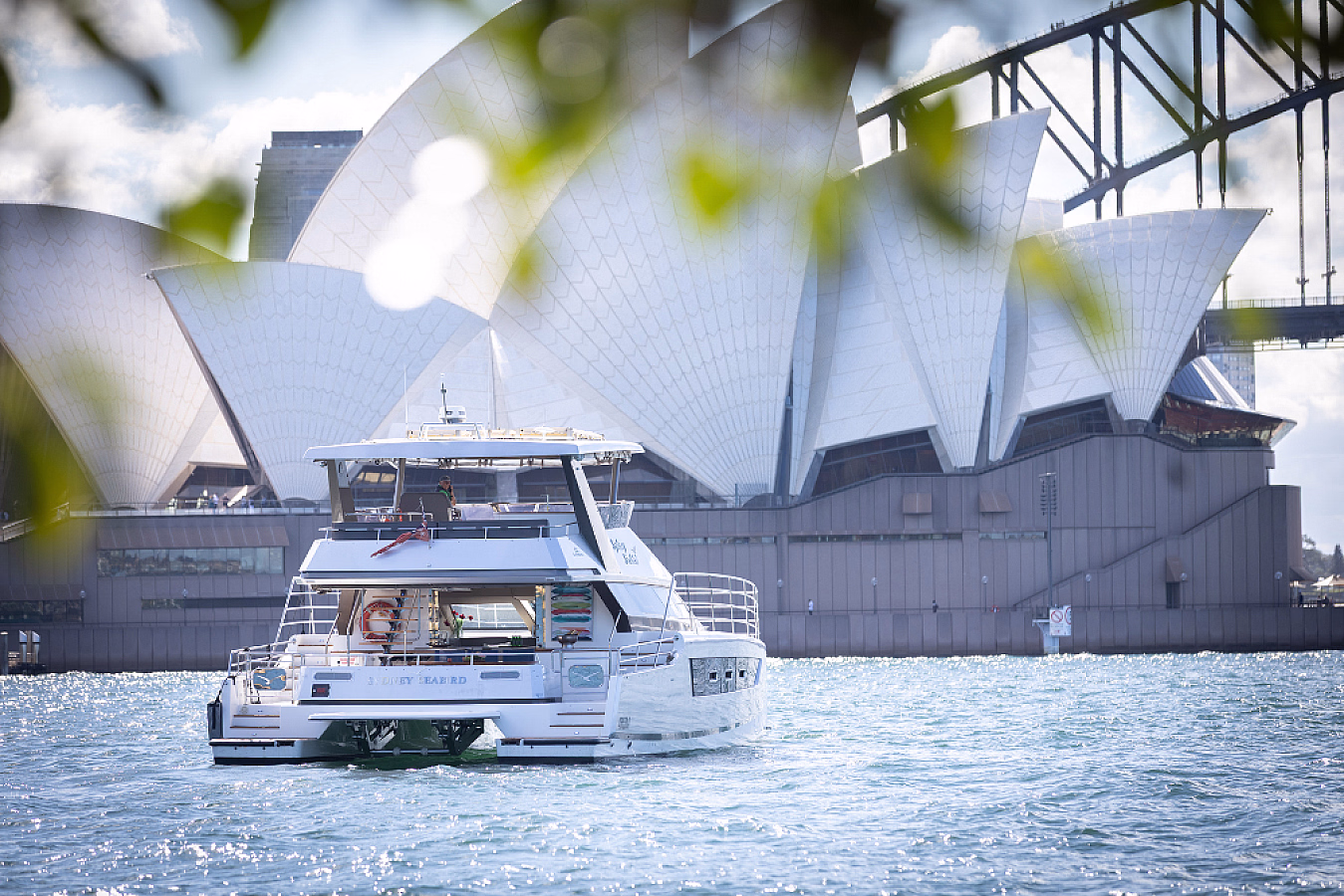 Sydney Seabird