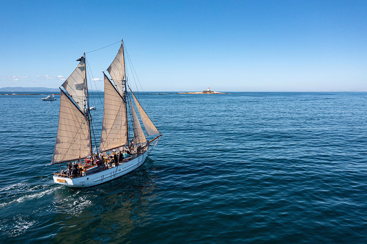 Boxing Day Sail on Rhona H