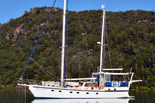 Sydney Sundancer Boxing Day Cruise - Featured Image