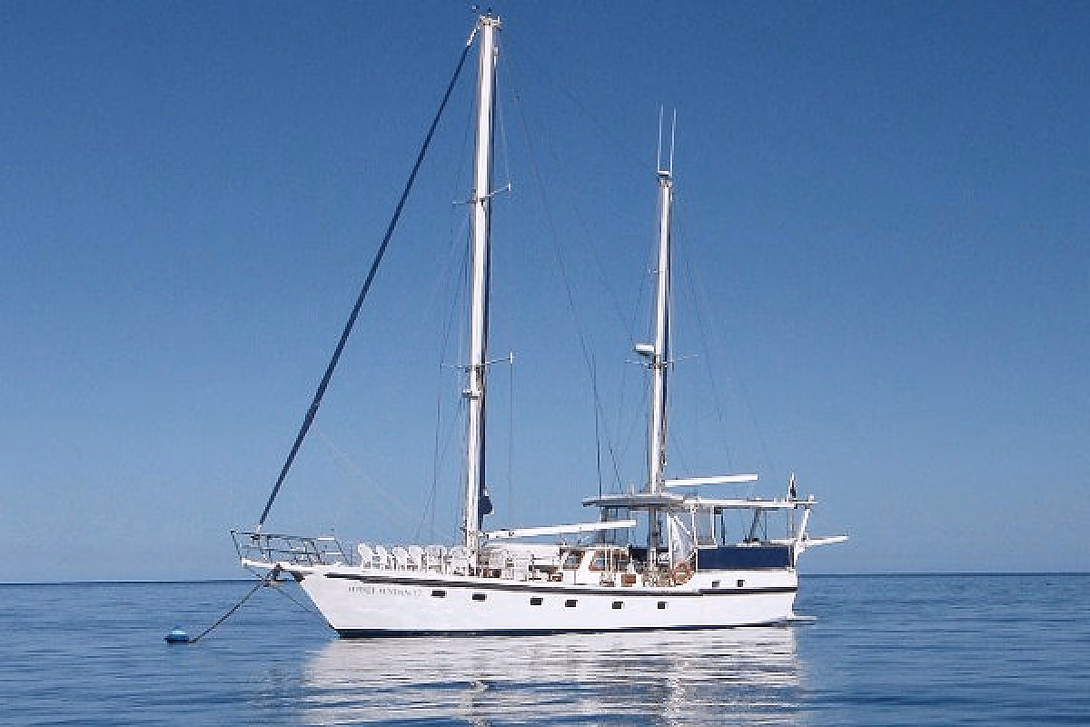 Sydney Sundancer Boxing Day