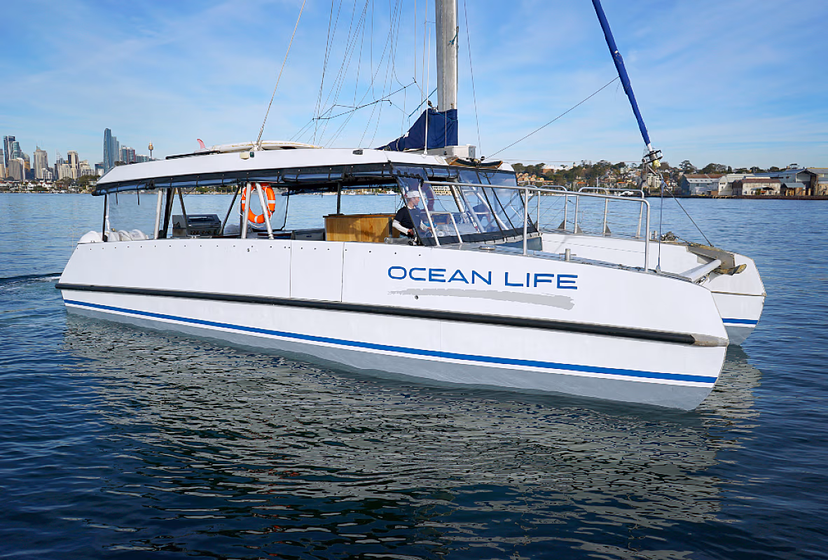 Ocean Life