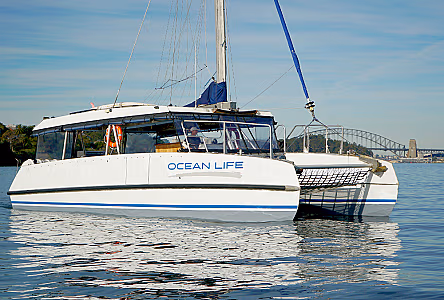 Ocean Life Boat Hire